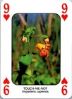 Bild 11 von 54