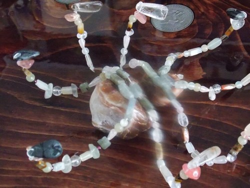 Specialty PET AGATE SPIDER, Genuine Pedigreed, ROCK BEADS Minions Stone, T- REX - Picture 12 of 18