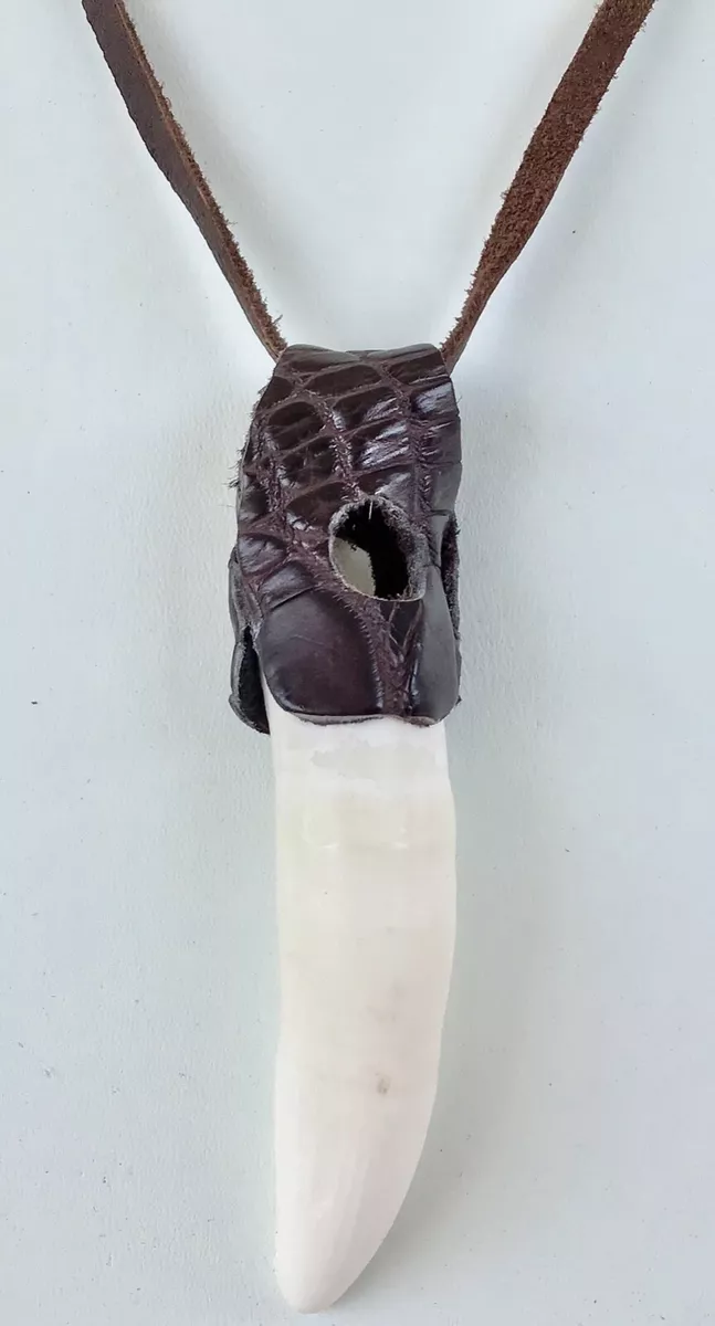 Alligator tooth shop pendant
