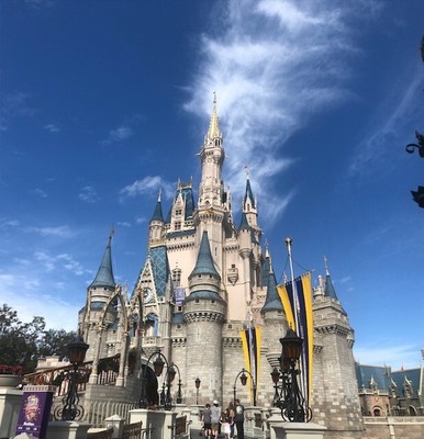 DVC Points for Rent $19/pp -Disney Vacation Club Timeshare Rental - Disney World