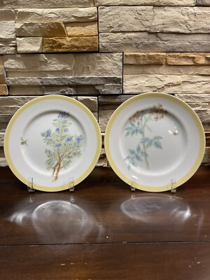 Salad Plates Williams Sonoma Bee Plates Williams Sonoma Bee Bee