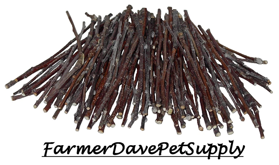 FARMERDAVEPETSUPPLY 100 APPLE ULTRA SKINNY CHEW TWIGS FOR SMALL ANIMALS