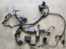 2006 Harley Davidson Sportster 883 Wiring Harness OEM