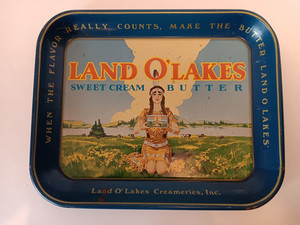Vintage Land O' Lakes Advertisement Serving Tray 10.5x13 1960s