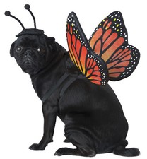 Monarch Butterfly Dog Fairy Insect Pet Costumes
