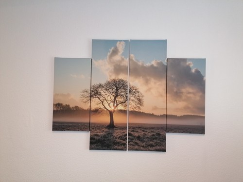Leinbandbild 4-teilig "Ein einsamer Baum"