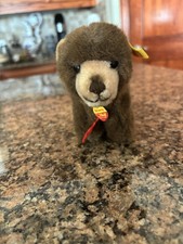 Vintage Steiff Browny Bear w/ Button and Tag 1444/12