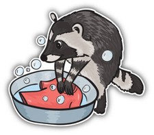 Raccoon Art Decor Car Bumper Sticker Decal