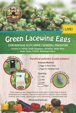 Green Lacewing Eggs on Hanging Card - 1,000 Count - Aphid Exterminator