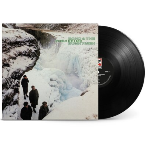 Echo & The Bunnymen Porcupine (Vinyl LP) 12" Album