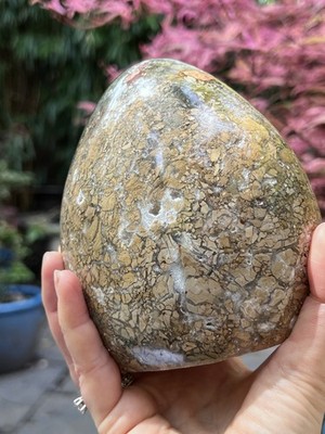 Ibis Jasper Large Freeform Polished 12 1371g
