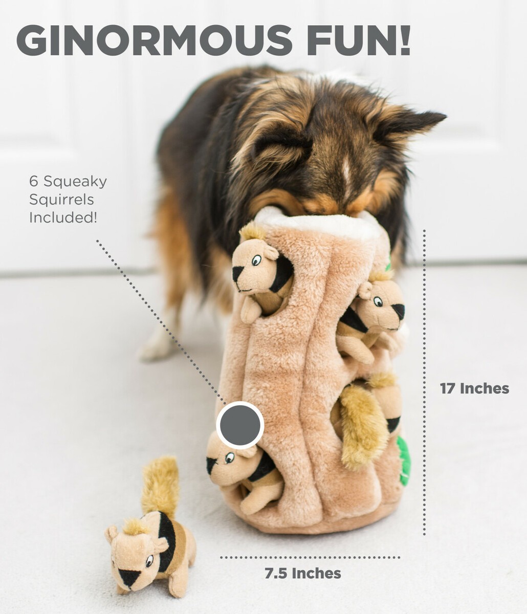 Hide A Squirrel by Outward Hound - Plush Dog Toy Puzzle - Ginormous, 6 Squirrels