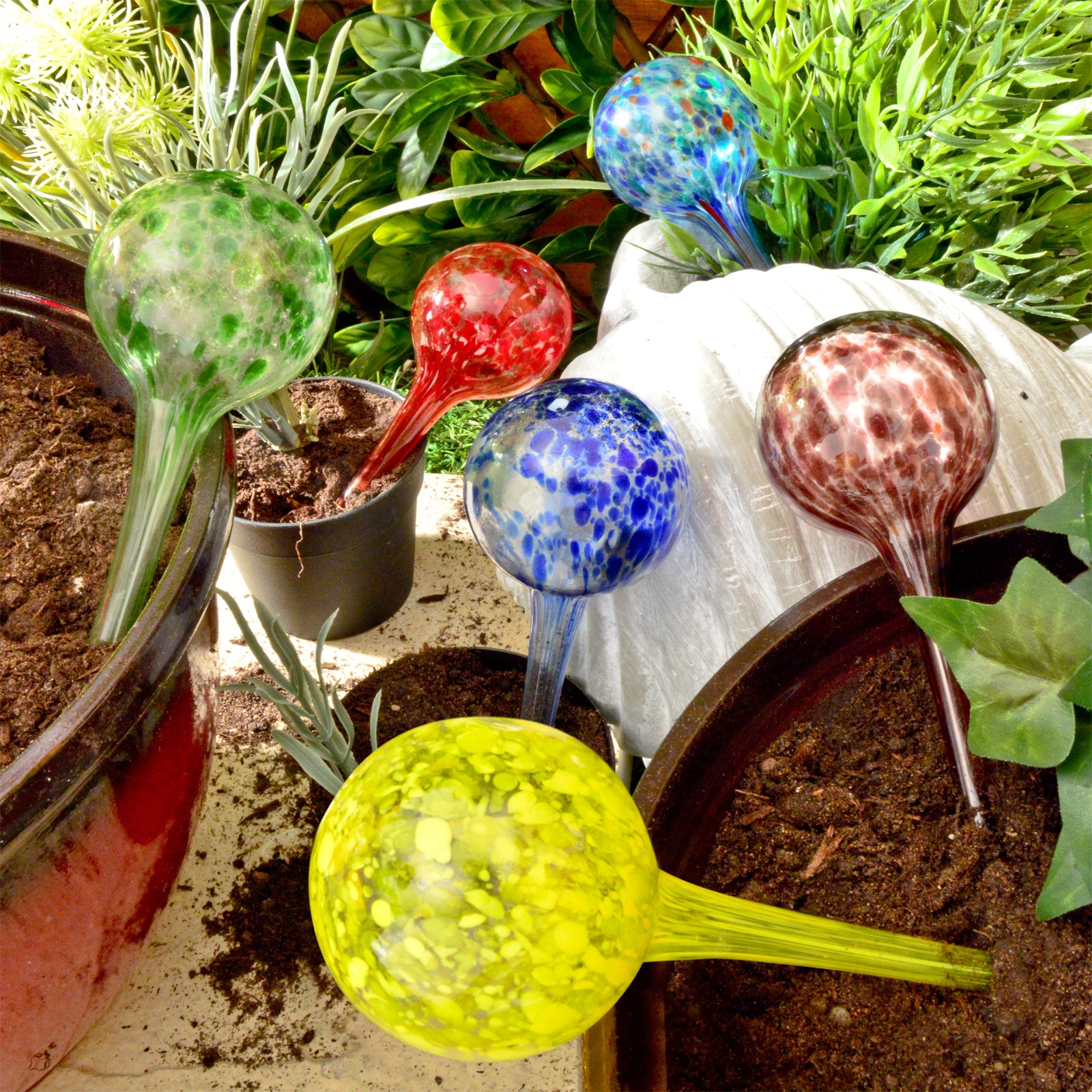 Watering Globes Plant Self Watering Spheres Garden Indoor Outdoor - Set of 6