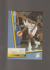 jessica breland,2014 wnba,north carolina,bertie,hs,windsor, kelford chicago sky