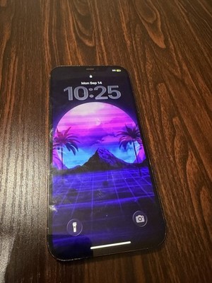 Apple iPhone 12 Pro Max 128GB Pacific Blue, Unlocked Used READ