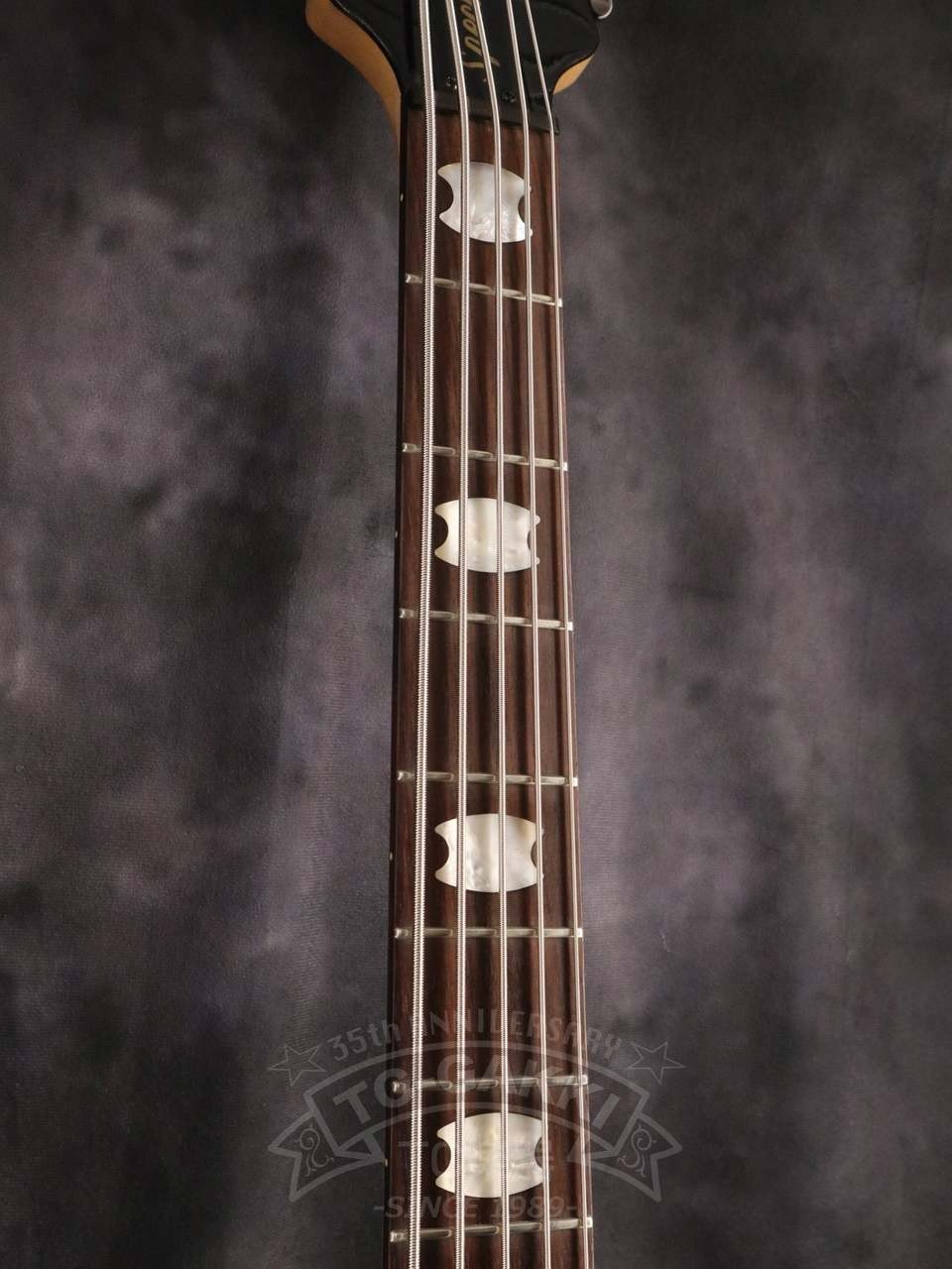 Picture 5 of 10