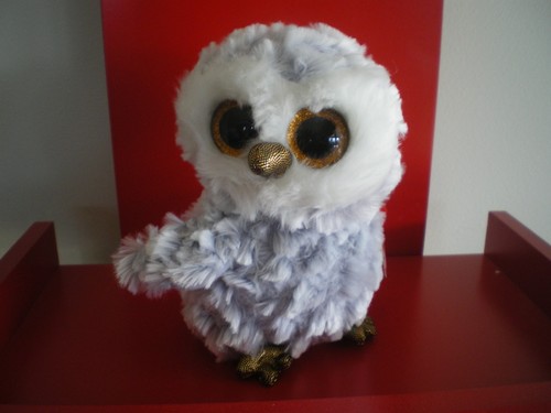 ty owls