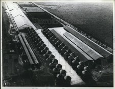 1971 Press Photo Maize Silos at Bailesti State Agricultural Enterprise, Romania