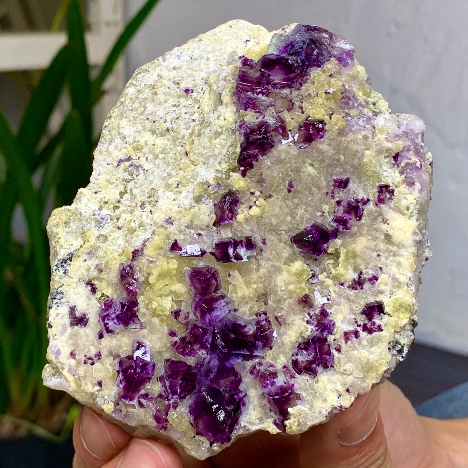 381G Natural purple Phantom Cube fluorite mineral Crystal specimen/Yaogangxian