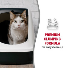 Premium Clumping Corn Cob Cat Litter with Bio-Enzymatic Formula, 10 lb Bag