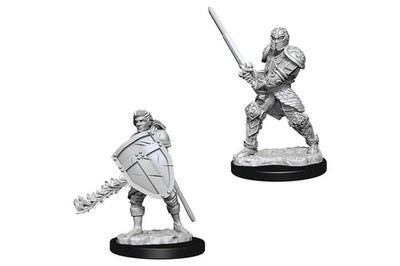 D&D Nolzur's Marvelous Miniatures Male Human Fighter