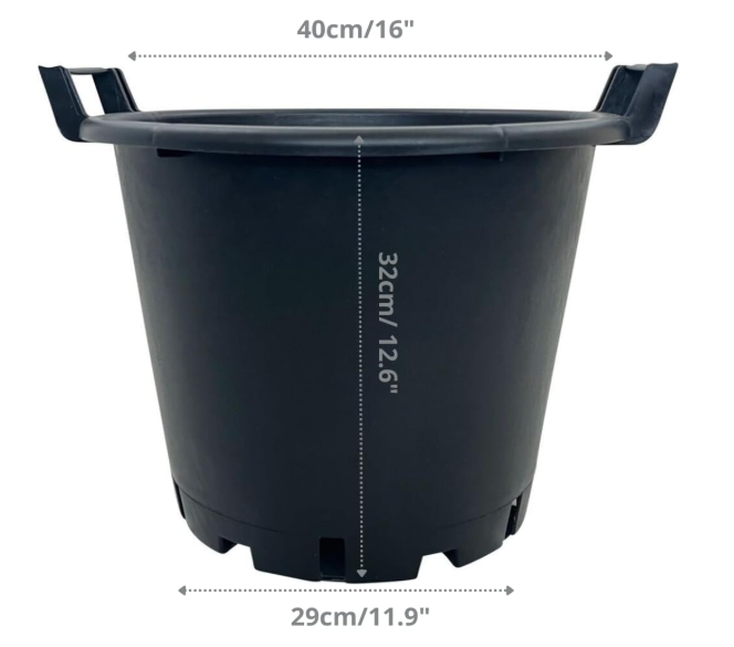 plastic tray plants 25 Cell Seed Starting Tray 2 Pack main image 0
