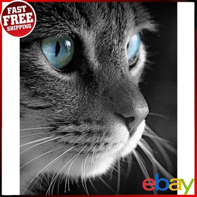 Katze Rahmenloses Bild Ölgemälde nach Zahlen handgemaltes Bild für Schlafzimmer ?