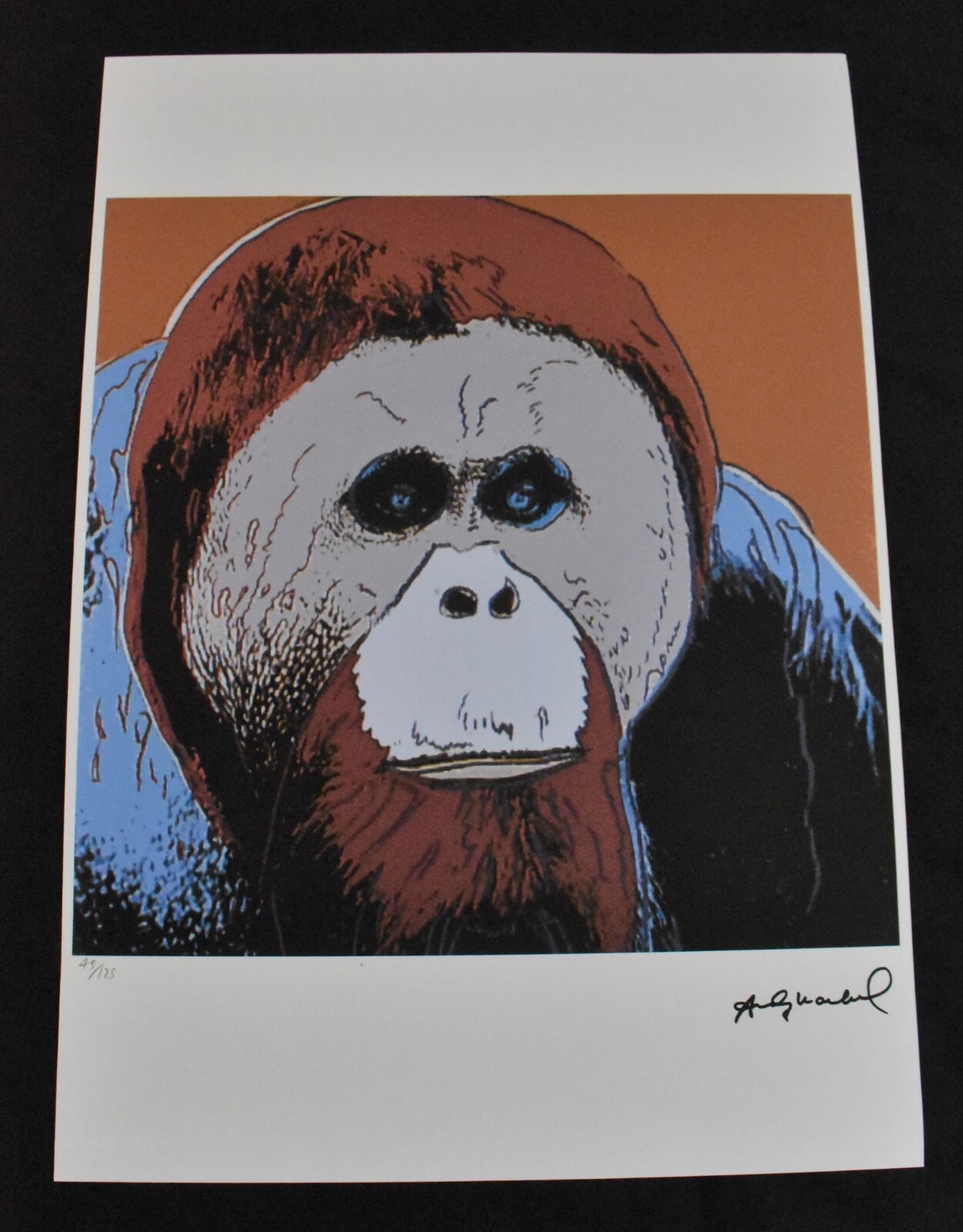 Picture 1 of 7