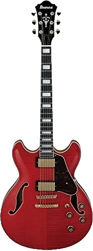 Ibanez Maple Body 6 String Acoustic Guitars