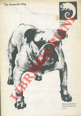 Cinofilia - British - The domestic dog. (4-9043) - Foto 1 di 1