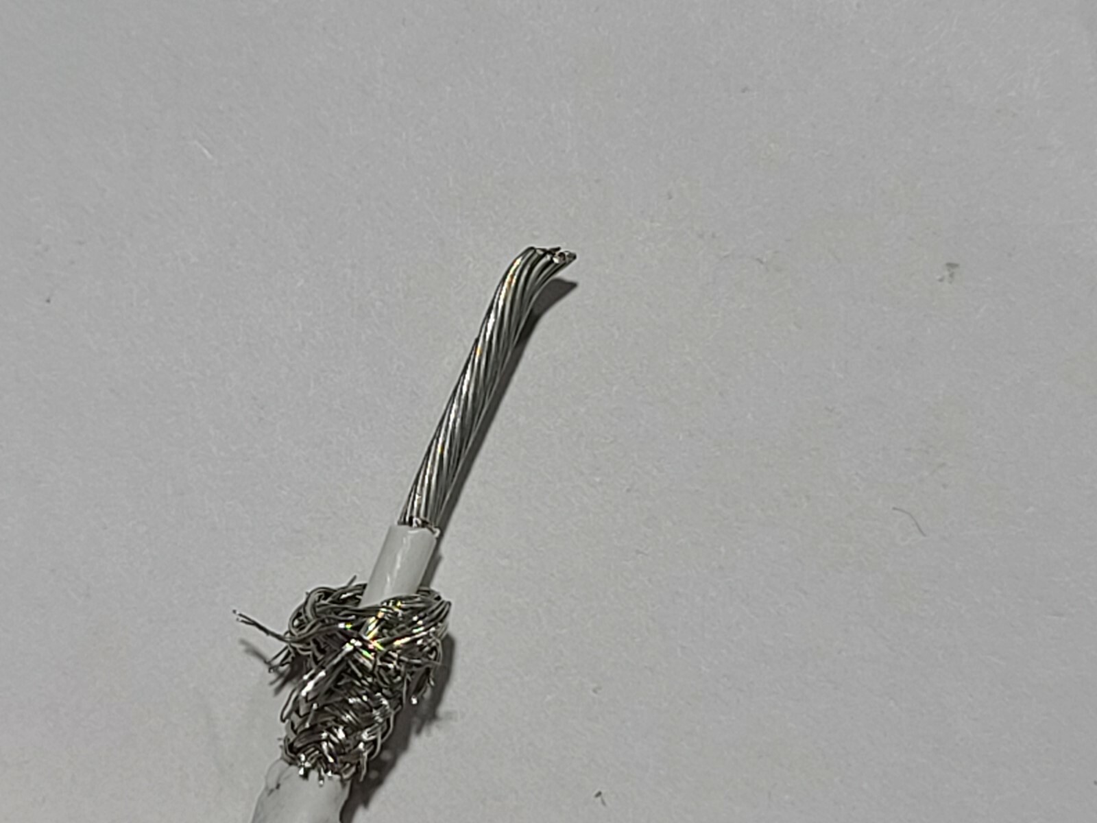 Picture 7 of 11