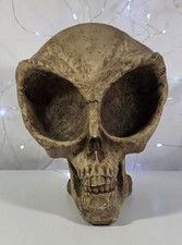 Summit Collection Alien Skull Statue Resin Gr...