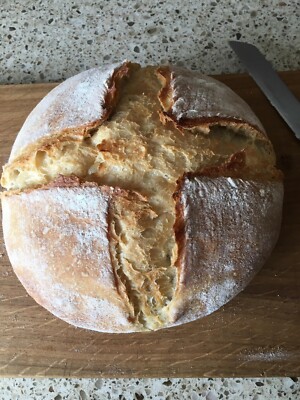 sourdough starter collection series larry verified over 140 years old @fresh