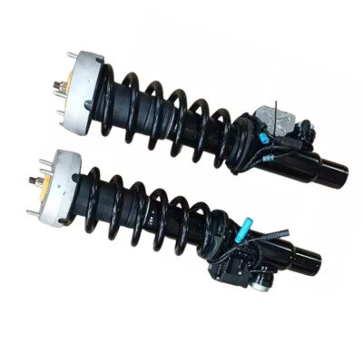 2X For BMW X5 X6 E70 E71 xDrive Front Left & Right Shock Absorbers assembly 07-