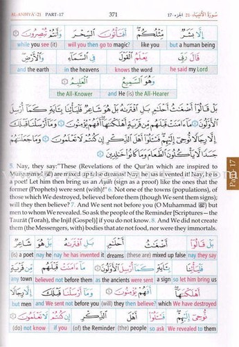 Study the Noble Qur'an Word-for-Word (Set of 3 Volumes) - Afbeelding 10 van 20