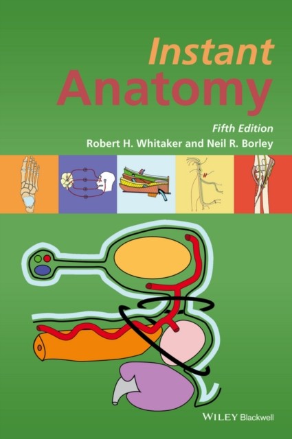 Instant Anatomy by Neil R.  Borley (Paperback Book)