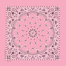 Carolina Creative Bandanna Light Pink Farmer Paisley 17" x 17" 100 Cotton