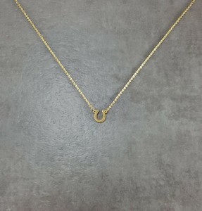 Authentic Horseshoe GOLD Plated Necklace Good Luck Charm Animal Symbol Astrology Belief