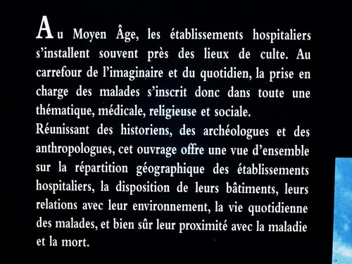 Les établissements hospitaliers en France du Moyen Âge au XIXe siècle - Imagen 2 de 12