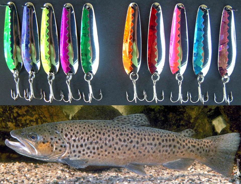 Forellen Set 1 (10) 2 3/8" Nickel Löffel Lake Erie Zander Süßigkeiten