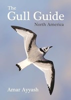 Amar Ayyash - Gull Guide North America - Paperback - G245Z