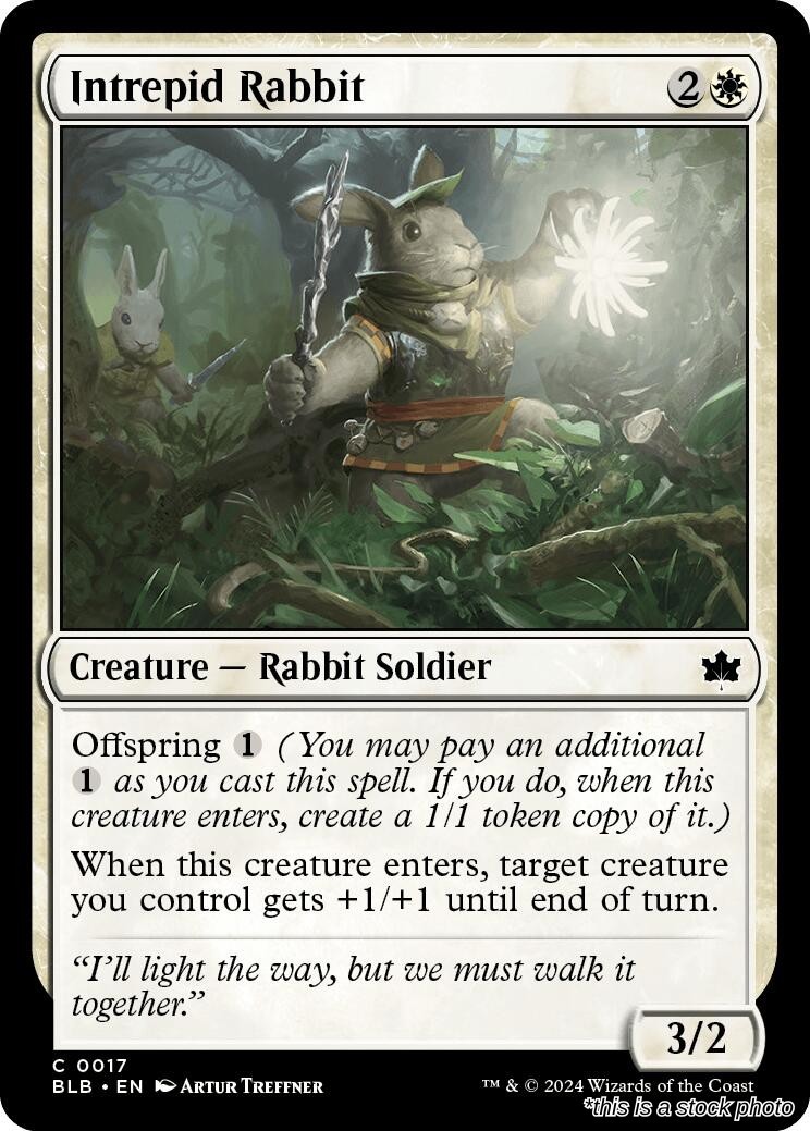 Intrepid Rabbit BLB 17 MTG Bloomburrow Common EN NM