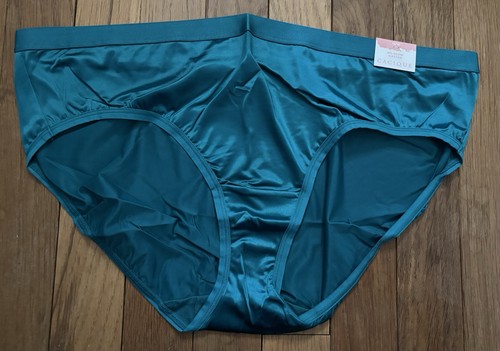 Plus 14/16 Lane Bryant Cacique No Show Hipster Nylon Faux Satin Silk Teal Aqua - Picture 1 of 5