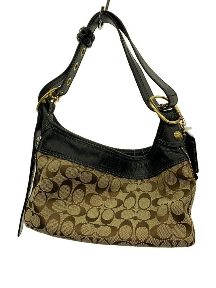 COACH Handbag_Signature