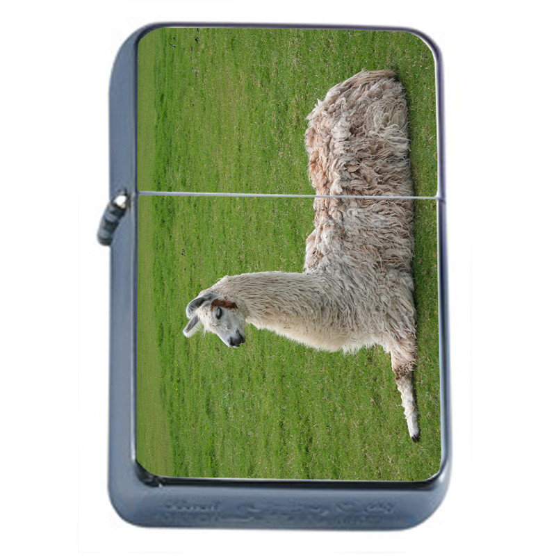 Wind Resistant With Case