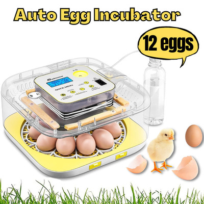 12 Egg Incubator for Hatching Chicks with Automatic Egg Turning 360° Clear View-