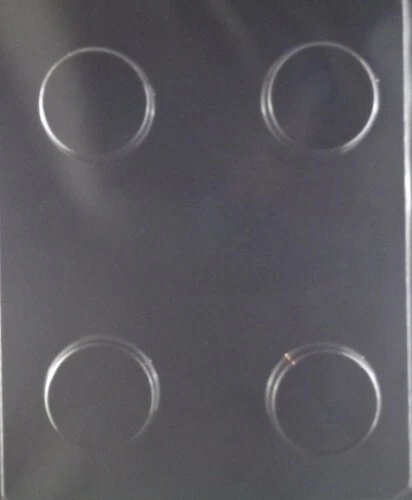 Plain Sandwich Cookie Chocolate Candy Mold