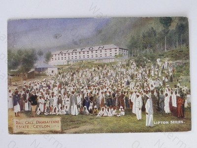 Appell Dambatenne Nachlass Ceylon Lipton Teeplantagenarbeiter Postkarte um 1910