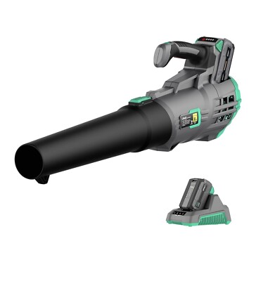 leaf blower cordless