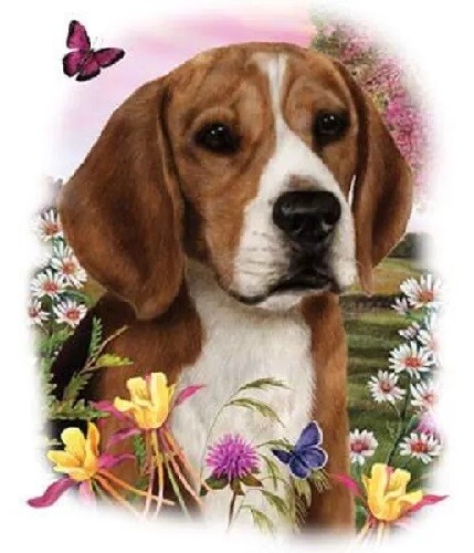 Aplicación de máquina Beagle de transferencia de calor para camiseta sudadera tela - Imagen 2 de 5